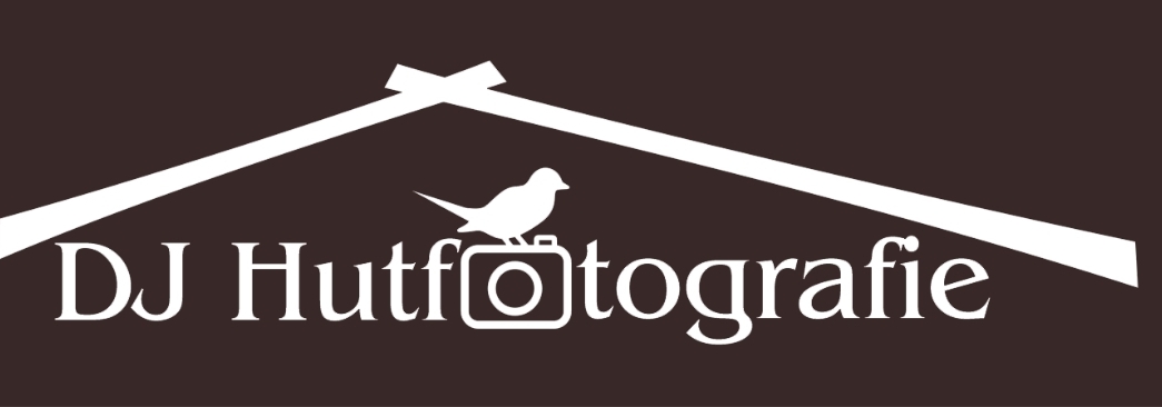 logo organisatie