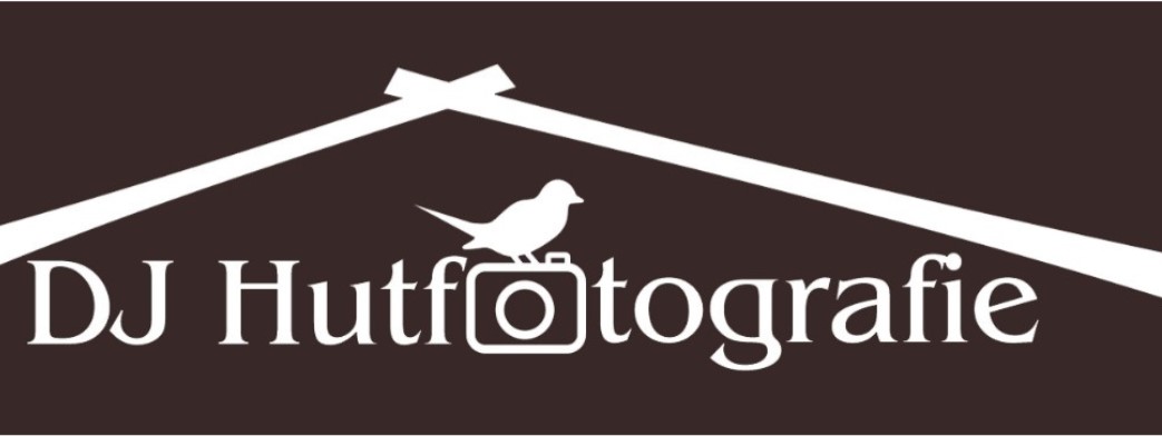 logo organisatie